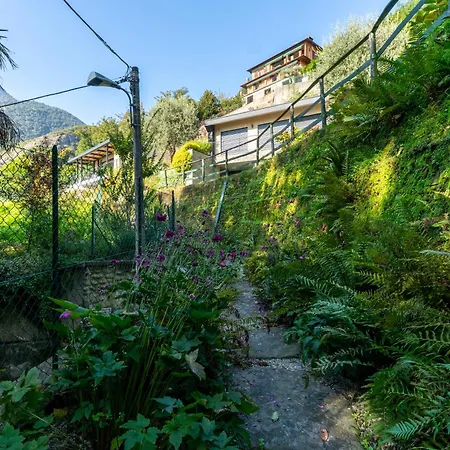 La Filanda Di Viano In